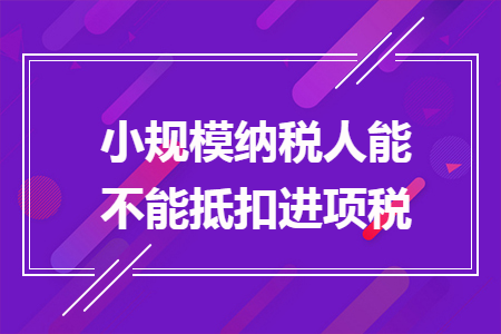 小规模纳税人能不能抵扣进项税