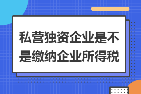 私营独资企业是不是缴纳企业所得税