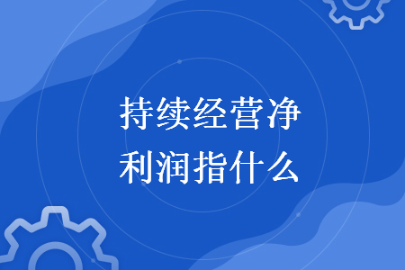 持续经营净利润指什么