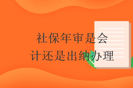 社保年审是会计还是出纳办理