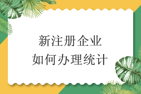 新注册企业如何办理统计