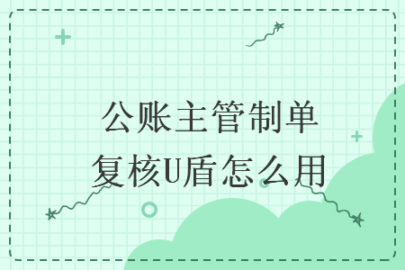 公账主管制单复核U盾怎么用