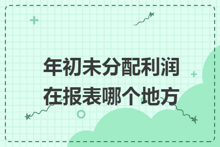 年初未分配利润在报表哪个地方