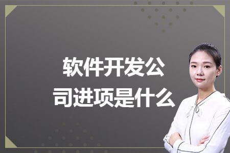 软件开发公司进项是什么