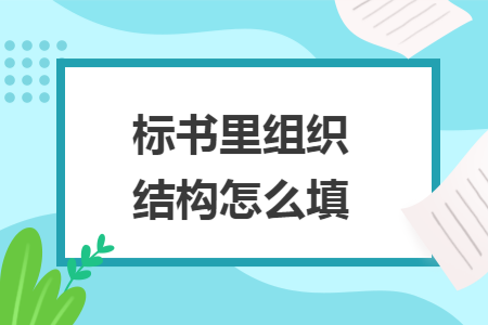 标书里组织结构怎么填