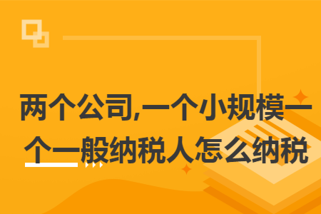 两个公司,一个小规模一个一般纳税人怎么纳税 两个公司,一个小规模一个一般纳税人怎么纳税