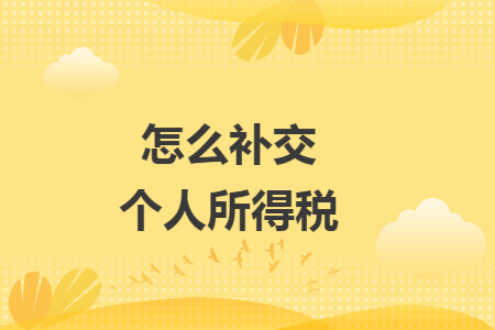 怎么补交个人所得税