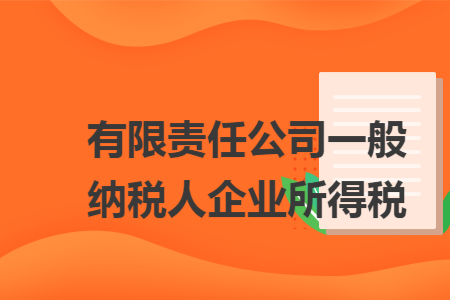 有限责任公司一般纳税人企业所得税