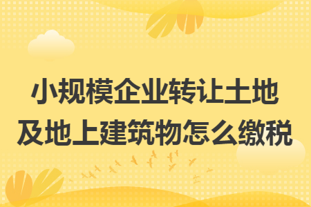 小规模企业转让土地及地上建筑物怎么缴税