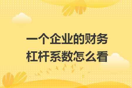 一个企业的财务杠杆系数怎么看