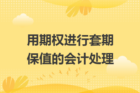 用期权进行套期保值的会计处理 用期权进行套期保值的会计处理