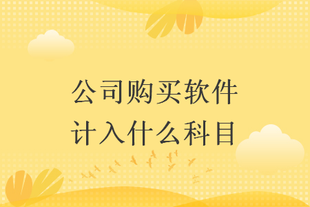 公司购买软件计入什么科目