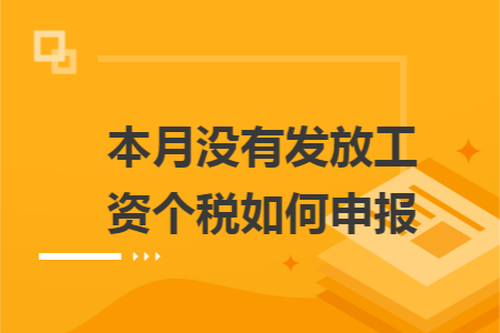 本月没有发放工资个税如何申报