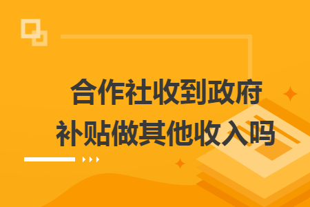 合作社收到政府补贴做其他收入吗