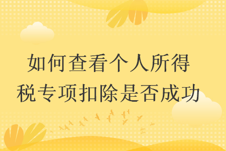 如何查看个人所得税专项扣除是否成功