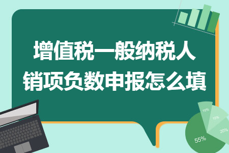 增值税一般纳税人销项负数申报怎么填