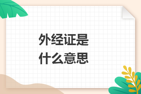外经证是什么意思