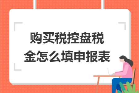 购买税控盘税金怎么填申报表