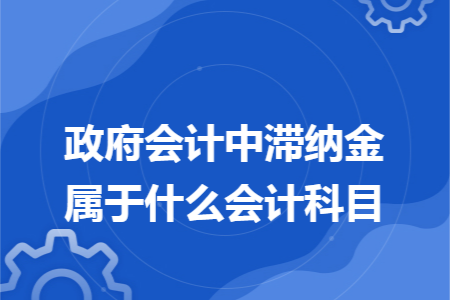 政府会计中滞纳金属于什么会计科目