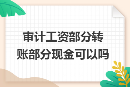 审计工资部分转账部分现金可以吗