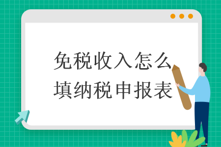 免税收入怎么填纳税申报表