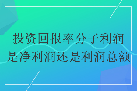 投资回报率分子利润是净利润还是利润总额
