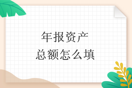 年报资产总额怎么填