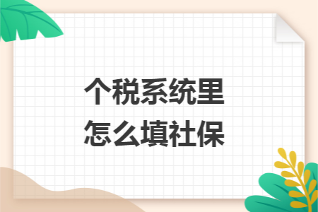 个税系统里怎么填社保