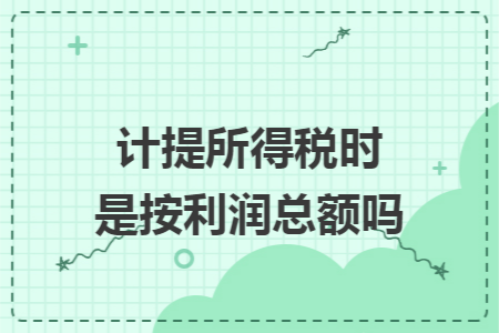 计提所得税时是按利润总额吗