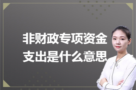 非财政专项资金支出是什么意思