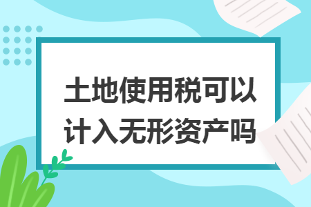 土地使用税可以计入无形资产吗