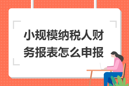 小规模纳税人财务报表怎么申报