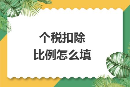 个税扣除比例怎么填