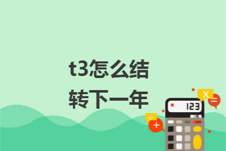 t3怎么结转下一年