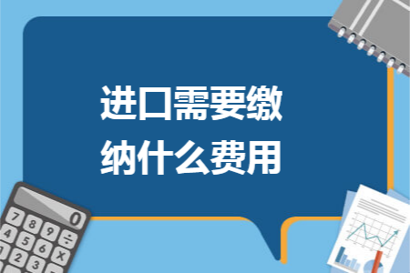 进口需要缴纳什么费用