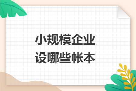 小规模企业设哪些帐本