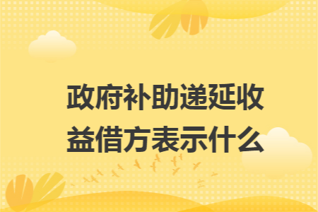 政府补助递延收益借方表示什么