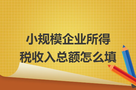 小规模企业所得税收入总额怎么填