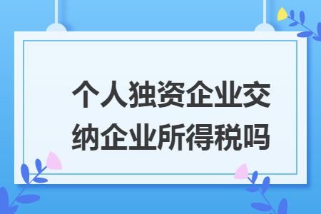 个人独资企业交纳企业所得税吗 个人独资企业交纳企业所得税吗