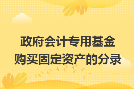 政府会计专用基金购买固定资产的分录 政府会计专用基金购买固定资产的分录