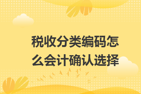 税收分类编码怎么会计确认选择 税收分类编码怎么会计确认选择