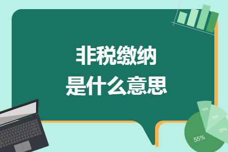 非税缴纳是什么意思 非税缴纳是什么意思