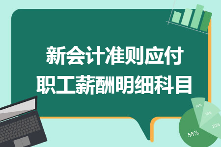 新会计准则应付职工薪酬明细科目 新会计准则应付职工薪酬明细科目