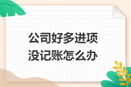 公司好多进项没记账怎么办 公司好多进项没记账怎么办