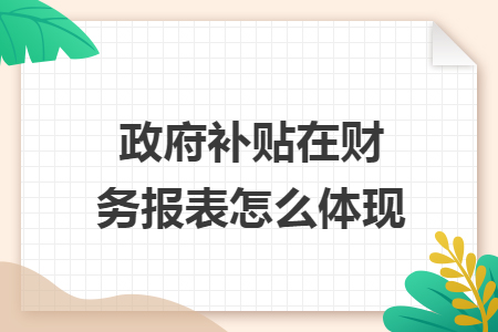 政府补贴在财务报表怎么体现