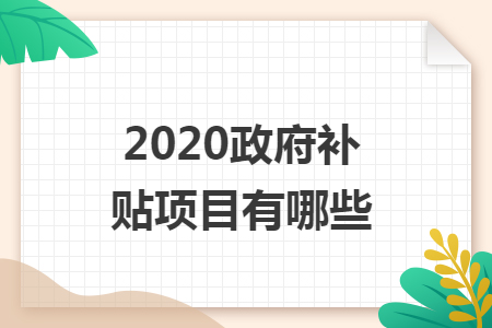 2020政府补贴项目有哪些