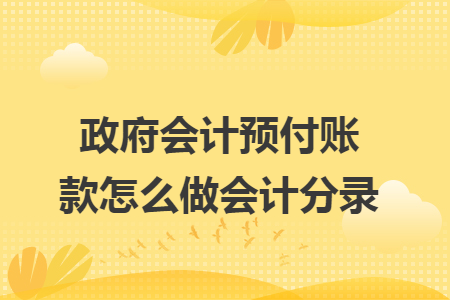 政府会计预付账款怎么做会计分录