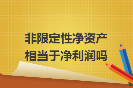 非限定性净资产相当于净利润吗