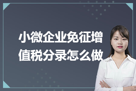 小微企业免征增值税分录怎么做