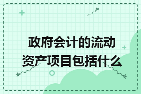 政府会计的流动资产项目包括什么